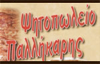 Λογότυπο του καταστήματος ΠΑΛΛΗΚΑΡΗΣ